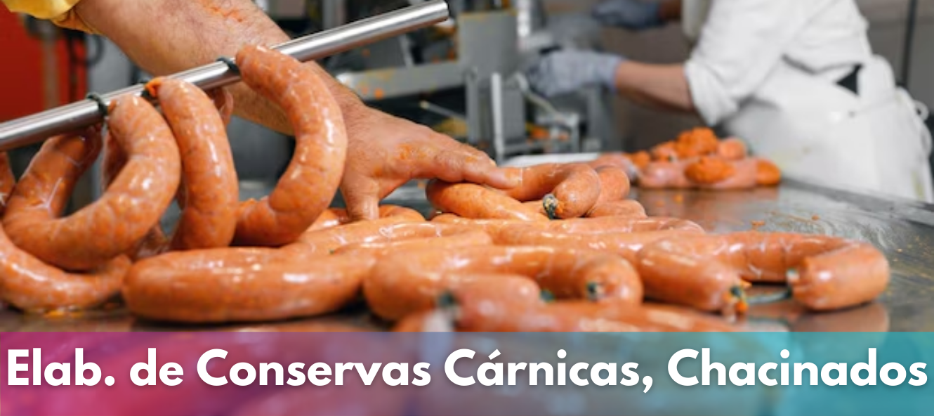 Elaboración de Conservas Cárnicas, Chacinados y Salazones