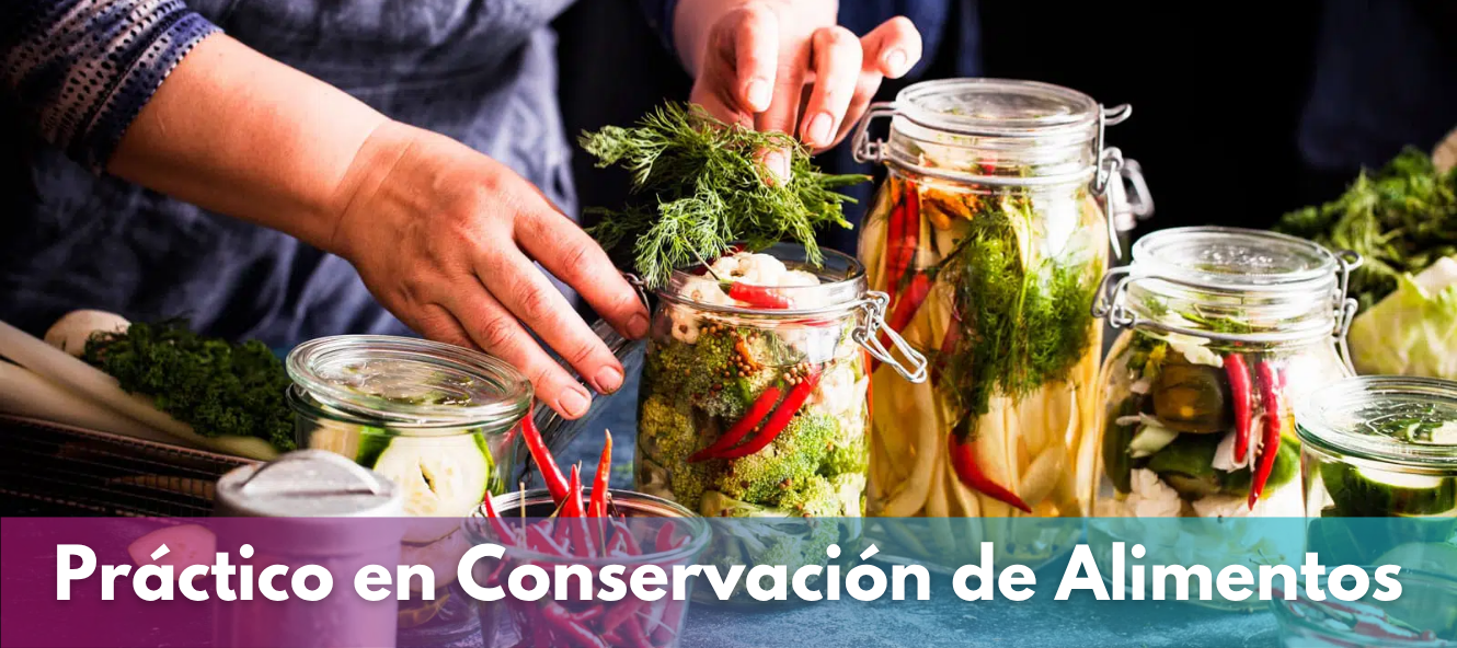 Práctico en Conservación de Alimentos
