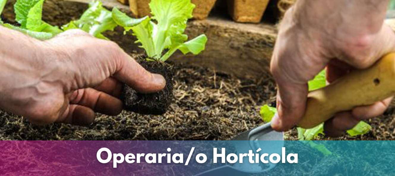 operario